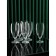 A set of glasses for cocktails "Magnolia", 380 ml, 6 pcs
