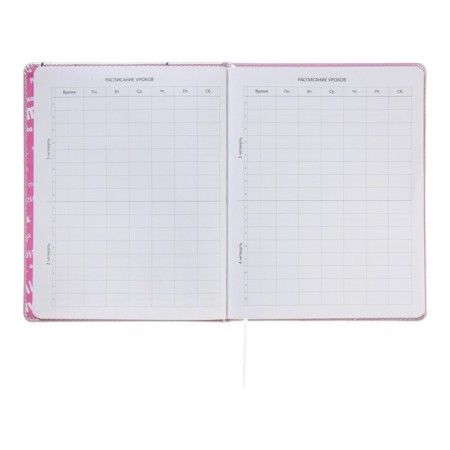 Universal diary for grade 1-11 Kitty, hard cover, artificial leather, foam rubber, lies, 80 g/m2-5