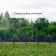Decorative fence, 35 × 220 cm, 5 sections, plastic, lilac, Romanika, Greengo