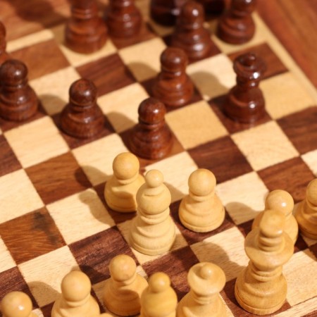 Magnetic chess 20.5x20.5x3.5 cm, shisham tree-4