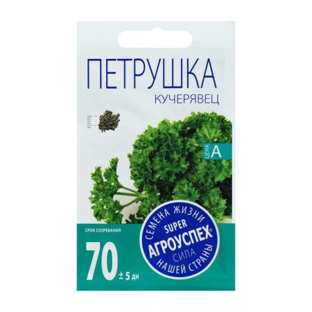 Seeds parsley Kucheryvets Kudryavaya, 2g-1