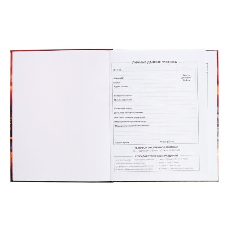 School diary for grades 1-11 Star evening, cover coated cardboard, glossy lamination, foil embossing, universal cheat sheet, 48 sheets, block 65g/m2-4