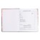 School diary for grades 1-11 Star evening, cover coated cardboard, glossy lamination, foil embossing, universal cheat sheet, 48 sheets, block 65g/m2