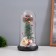 Summer Santa Clab and gingerbread luminaire 1.5W, LED, 3XAAA, Black USB 11x11x21cm