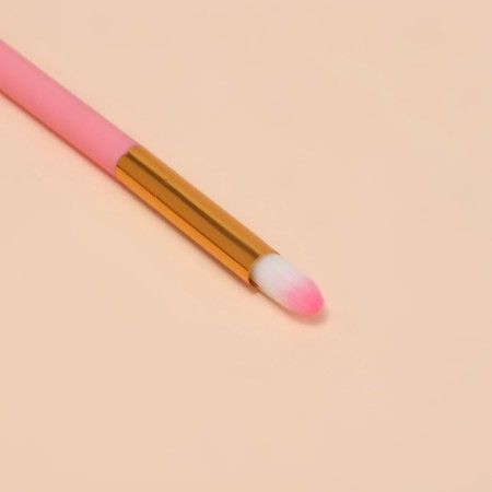 A set of makeup brushes, 12 objects, case, pink color-6