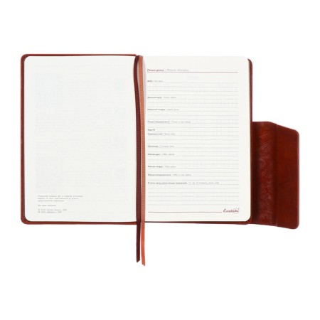 Dated 2025 diary, A5, 176 sheets of Escalada, a solid cover made of artificial leather, pancake embossing, lies, cream block 70 g/m2, brown-8