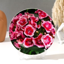 Decorative plate 