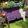 Billy swing pillow, size 50x60x180 cm, purple color