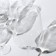 Set of glasses for the wine Strix, 850 ml, 6 pcs