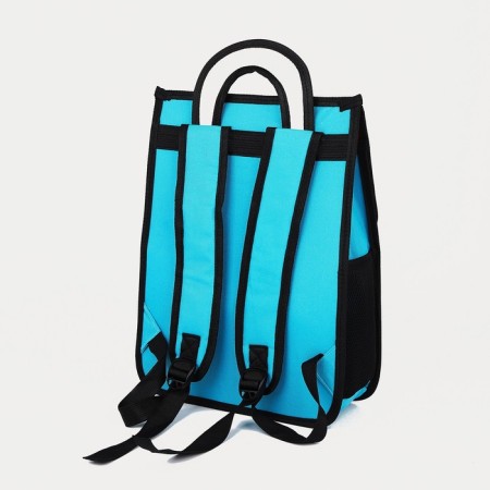 Baby backpack on lightning, blue/red color-3