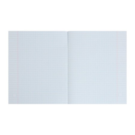 A set of notebooks of 5 pieces, 48 ​​sheets in the Calligrata "Neon" cage, covered cardboard, offset unit-4