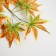 Decor "Leaves on the branch" Color green-yellow-orange