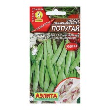 Semen beans ordinary 