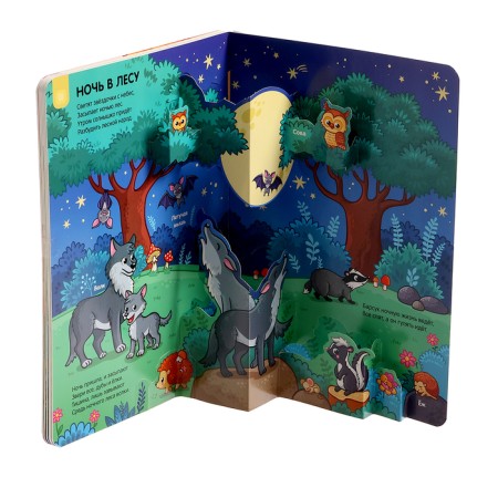 Play and Learn "Forest"-7