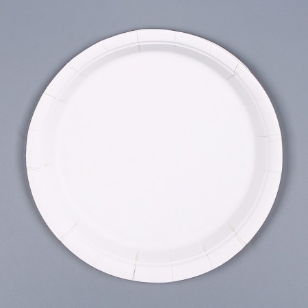 Paperial plate "Zoo", in a set of 6 pcs.-2