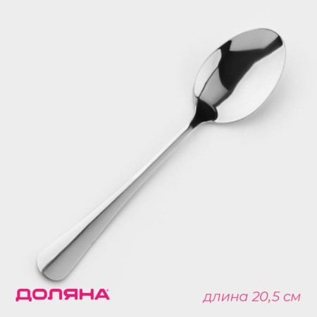 A tablespoon of stainless steel of a “tower” share, length 20.5 cm, thickness 2 mm