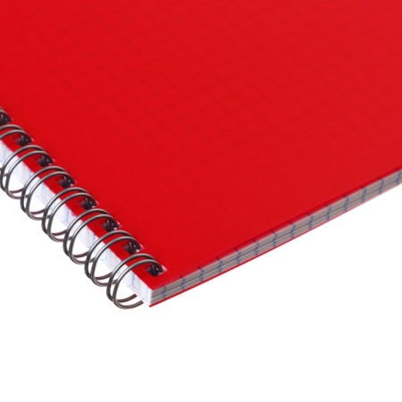 Notebook on the crest A4 48 sheets in the Calligrata cage red, plastic cover, OFSET block-2