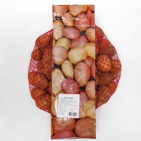Seed potatoes "Meteor" 2 kg super elite, r/r 28/55