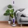 The steam mop Kitfort KT-1056, 1300 W, 450 ml, cord 4.7 m, white-violet