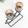Climber Metal, glass for 2 candles "phlox" D-5 cm, black 8.5x21x23 cm