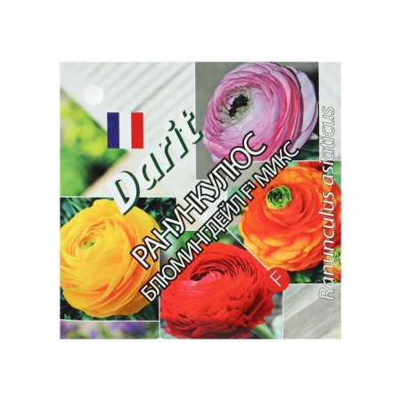Seeds of flowers Ranunkulus "Blumingdale", 5 pcs.-3