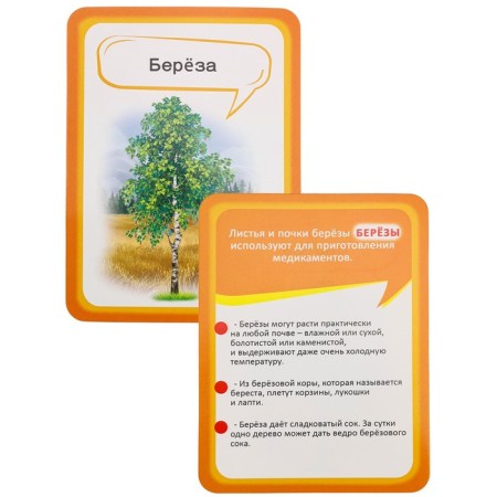Developing cards "Living nature"-3