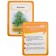 Developing cards "Living nature"