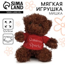 Soft toy in a bag 