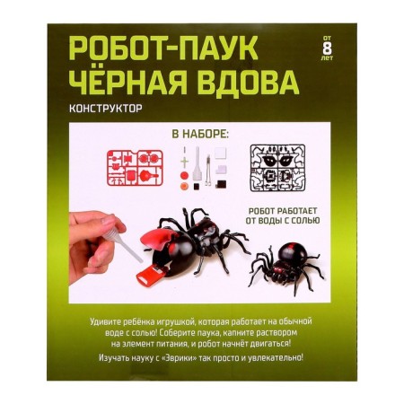 Black Widow's Robot Evrika, Designer, 43 details, on water with salt-3