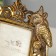 Photo frame Polystone 10x15 cm "Parrots" Ogent gold 26.5x20.5 cm