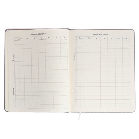 Universal diary for Umbrella 1-11 grade, hard cover, artificial leather, foam rubber, lies, 80 g/m2-4