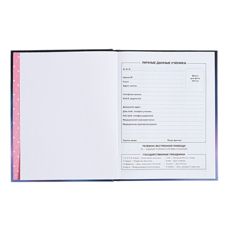 Diary Artificial leather grade 1-11, 48 sheets, cage, integral cover "cat", covered cardboard, matte lamination, selective UV-lame, universal cheat sheet, block 65 g/m2-4