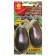 Black Russian F1 Ewanpers Earlys, large -fruited, high -yielding eggplant seeds, without bitterness