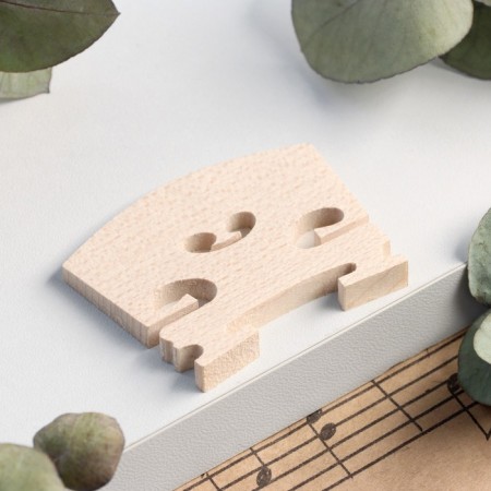 Strite for strings violin Music Life 4/4-1