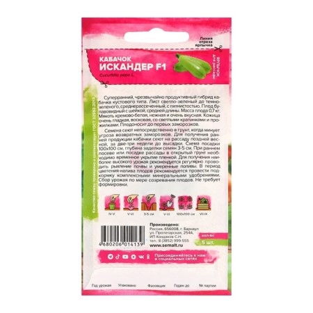 Semen zucchini "Iskander", f1, set 5 pcs-1