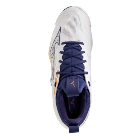 Sneakers volleyball male Mizuno Wave Momentum 3 V1GA2312 43, size 11 US-2