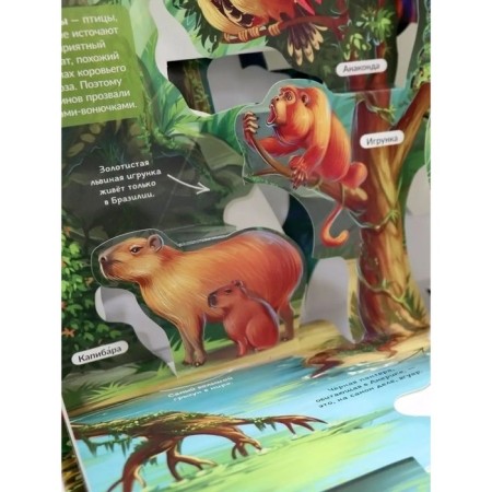 Encyclopedia "Jungle", Book-Panoramk, Pop Up-1