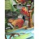 Encyclopedia "Jungle", Book-Panoramk, Pop Up
