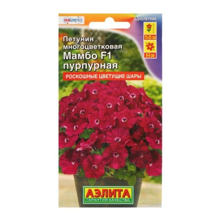 Petunia Mambo F1 Purple multi -flowered, 7 pcs-4