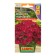 Petunia Mambo F1 Purple multi -flowered, 7 pcs