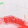 Poultry cell is equipped BD-2/4F, 34 x 27 x 44 cm, red