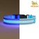 Collar with backlight double strip size m, osh 40-48 x 2.5 cm, 3 glow glow modes 977224