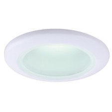 Светильник потолочный Aqua A2024PL-1WH