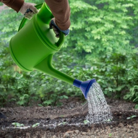 Watering can, 10 l, with a scatter, with a neck, green-9