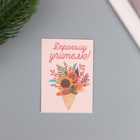 Postcard with seeds "grow itself" "to an expensive teacher" 5*7cm