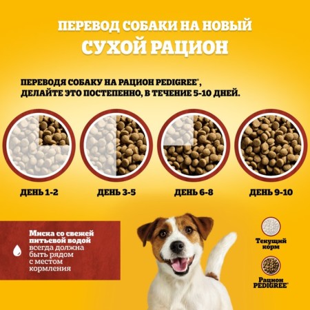 Pedigree dry food for dogs of small breeds, beef, 600 g-7
