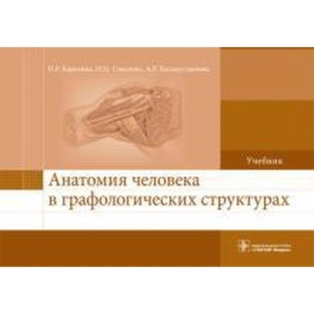 Human anatomy in graphological structures. Karelina N.