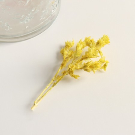 Set of dried flowers "chandra", banch length 40 (+/- 6 cm), apple-3