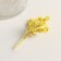 Set of dried flowers "chandra", banch length 40 (+/- 6 cm), apple