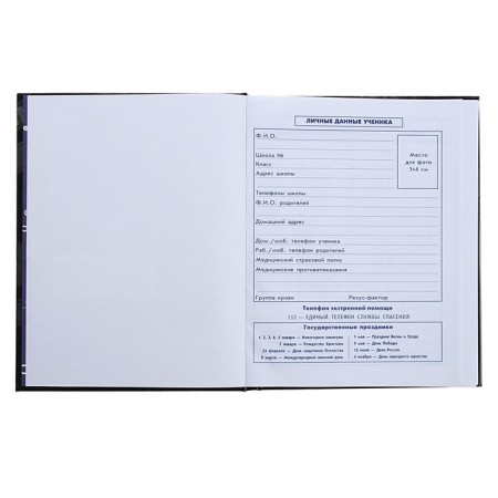 Diary for grades 5-11, 48 sheets "Duck Frick", solid cover, glossy lamination-5